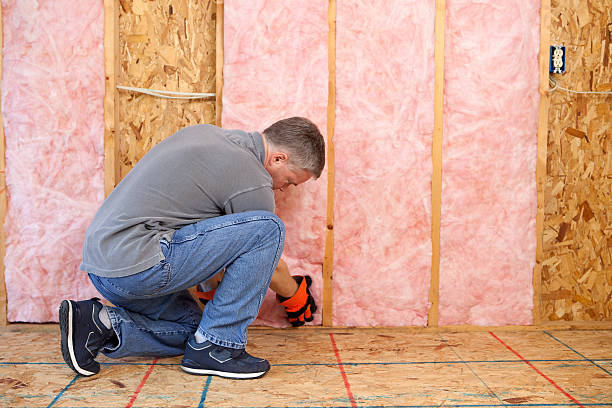 Best Specialized Insulation Services in Old Orchard, PA